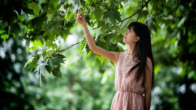 崩坏星穹铁道魈魅寻踪任务怎么做 魈魅寻踪任务攻略分享